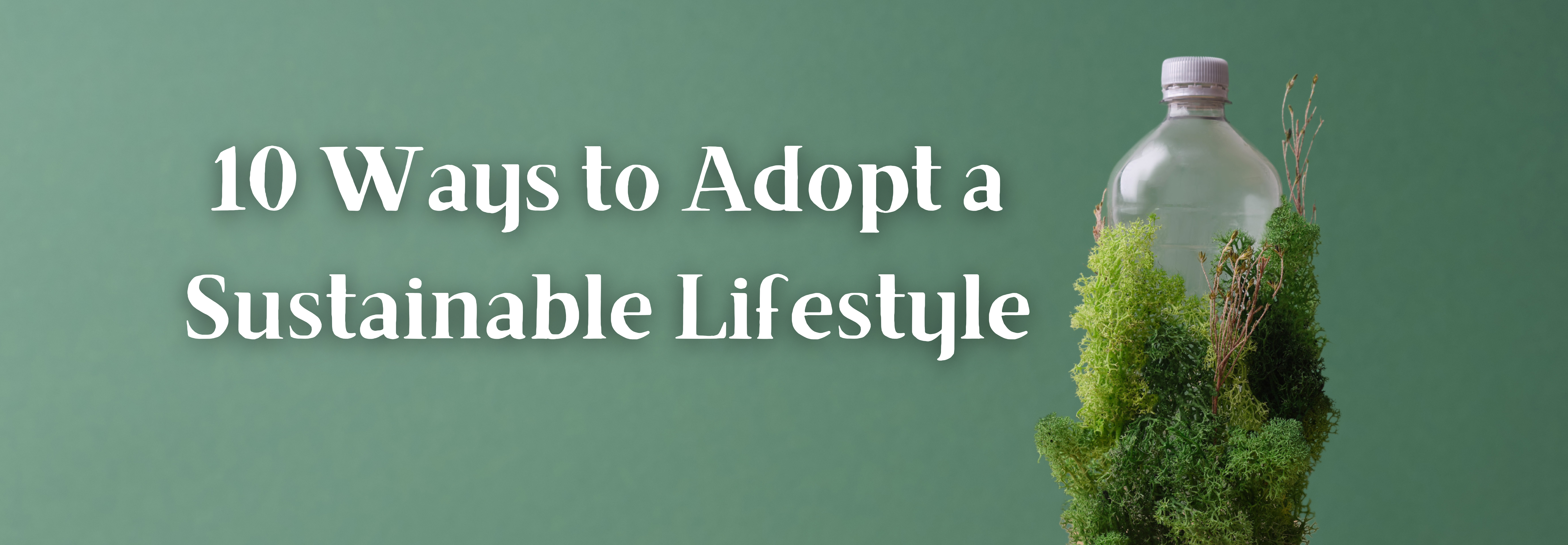 How to Live a Sustainable Lifestyle in 10 Steps – Bamboozle Home