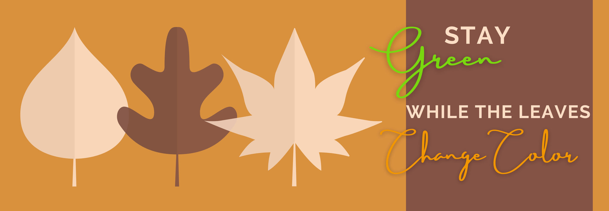 Stay Green While The Leaves Change This Season