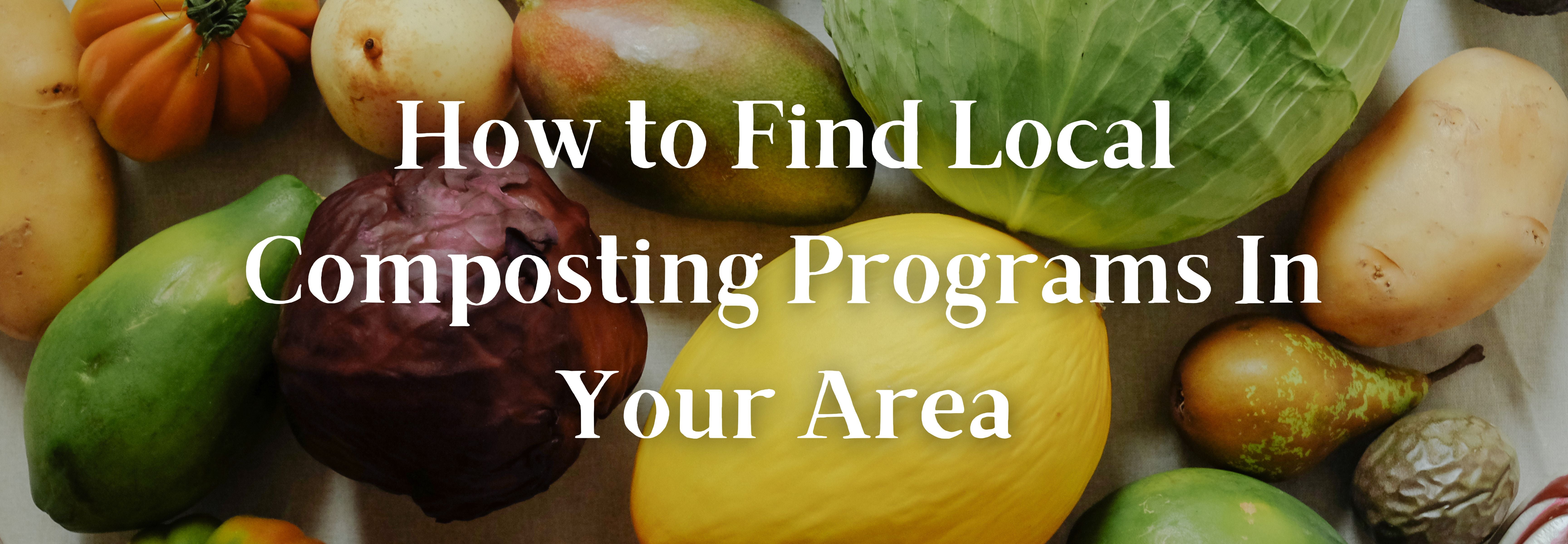How to Get Started With Community Composting – Bamboozle Home